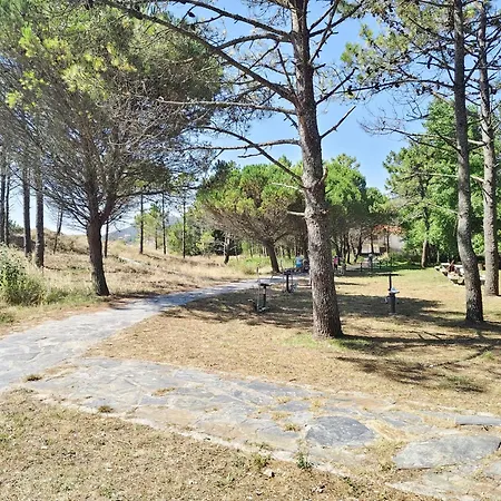 Pes Na Area Fisterra 11 * San Martín de Arriba