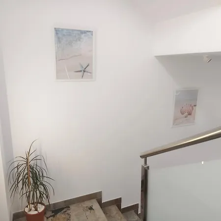 Pes Na Area Fisterra 11 San Martín de Arriba